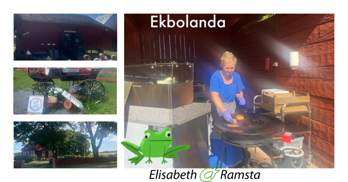 En ”groda” som gör allt möjligt