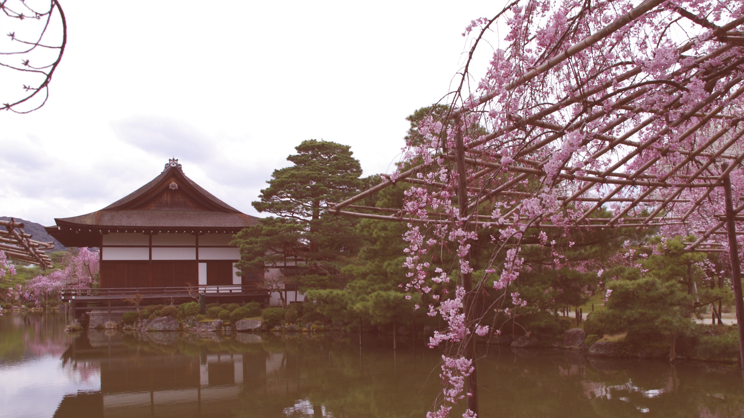 Ett häftigt studiebesök väntar