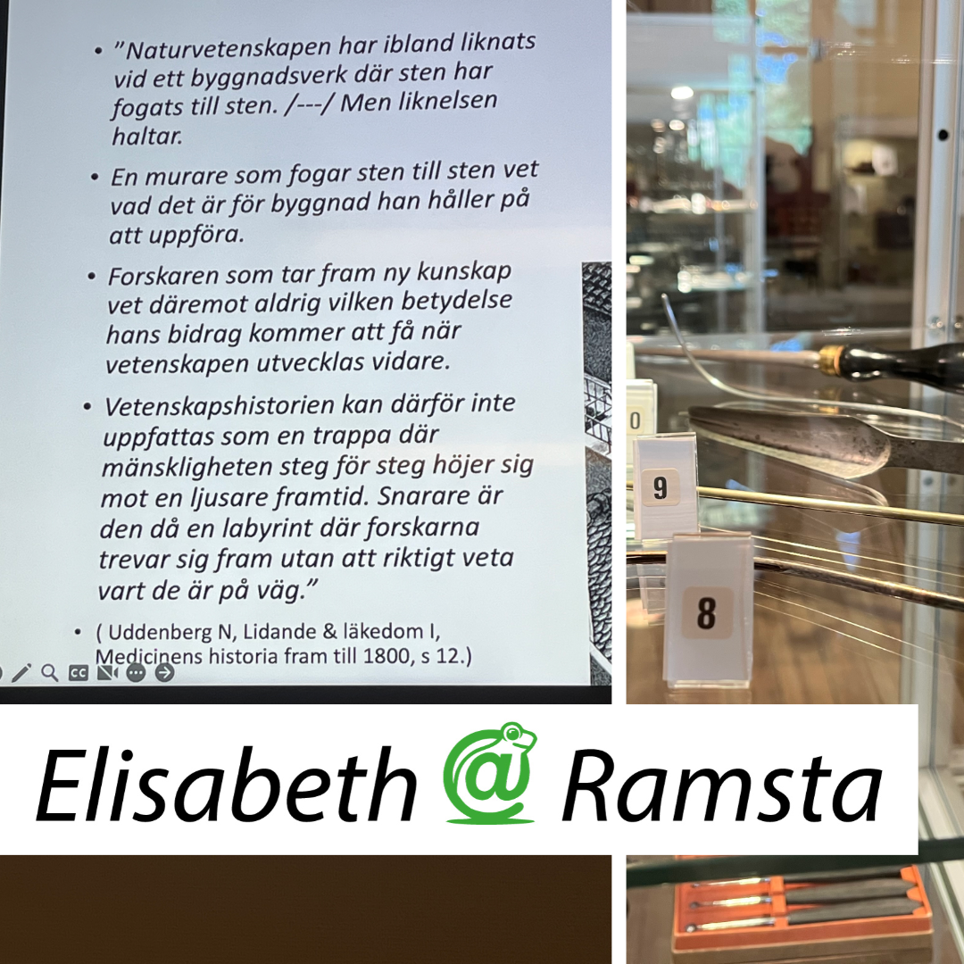 Från hål i skallen till högteknologisk kirurgi