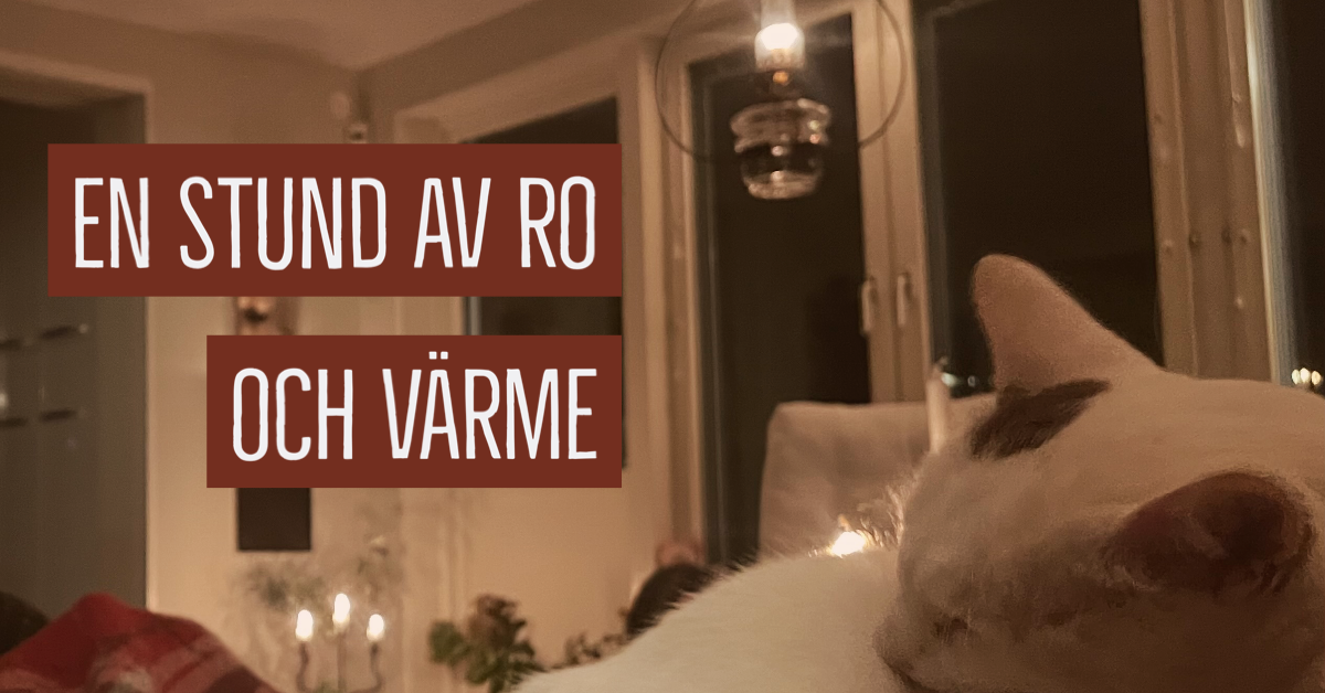 Höstens stillhet och värme