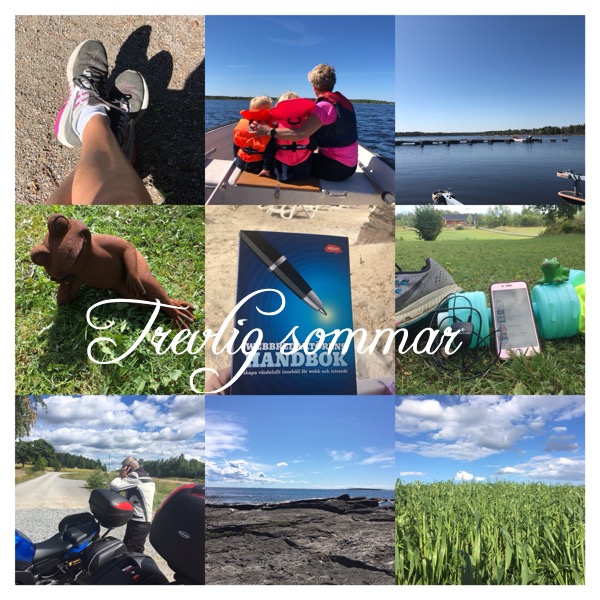 Mening som gav mening