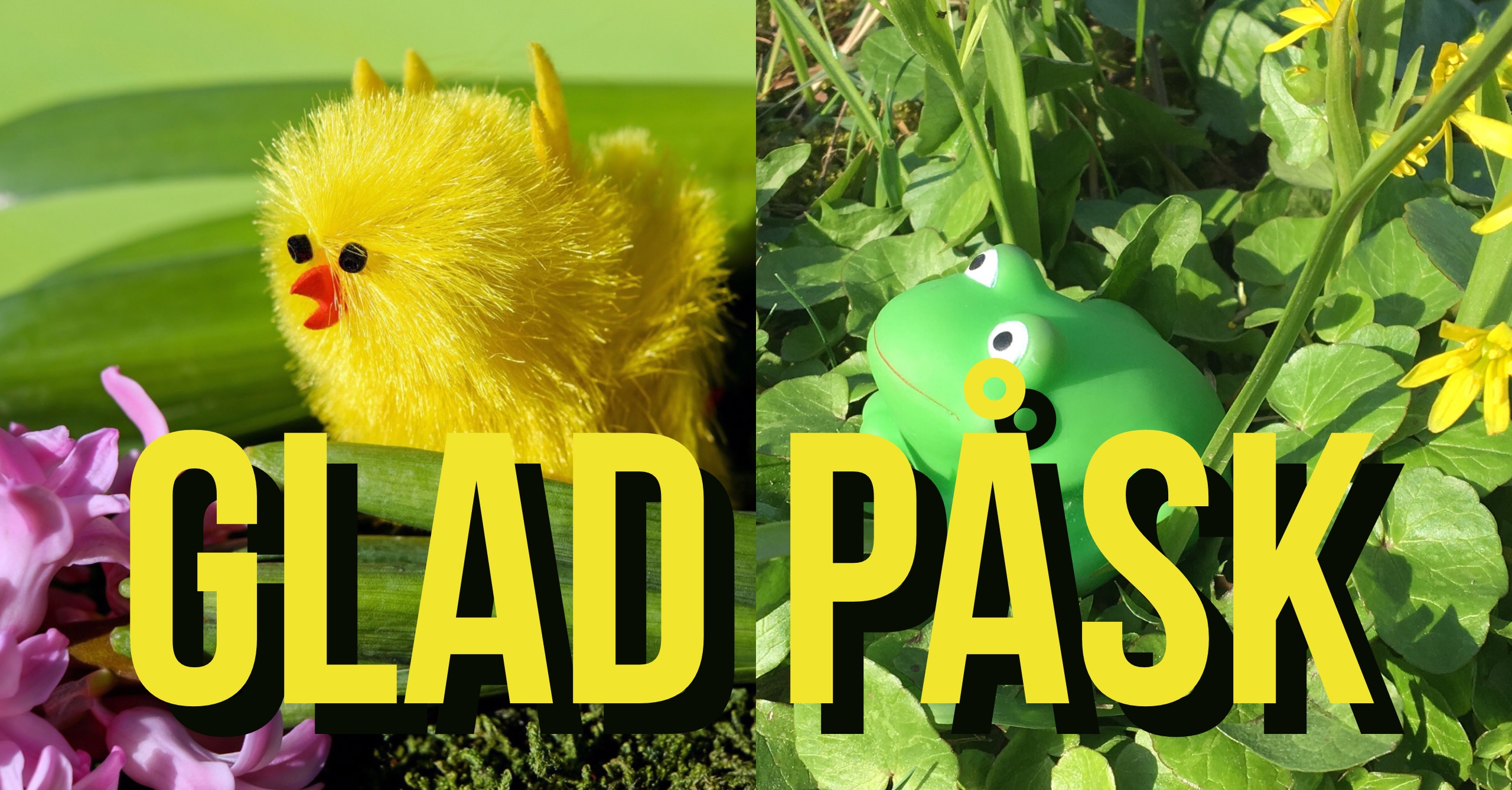 Nej! Jag tror att svaret bli nej!