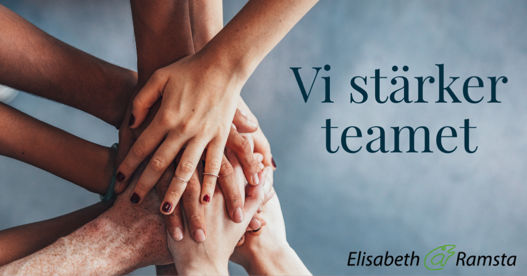 Vi stärker teamet - ett koncept framtaget av branschen