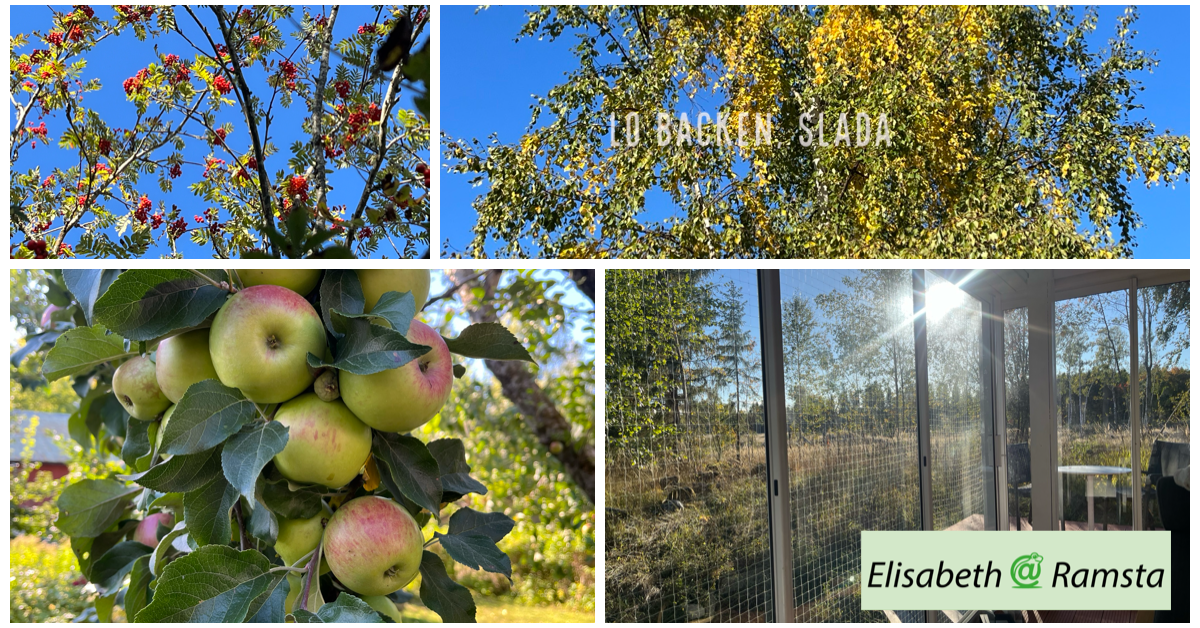 Vikten av att hitta sitt eget 'vattenhål”