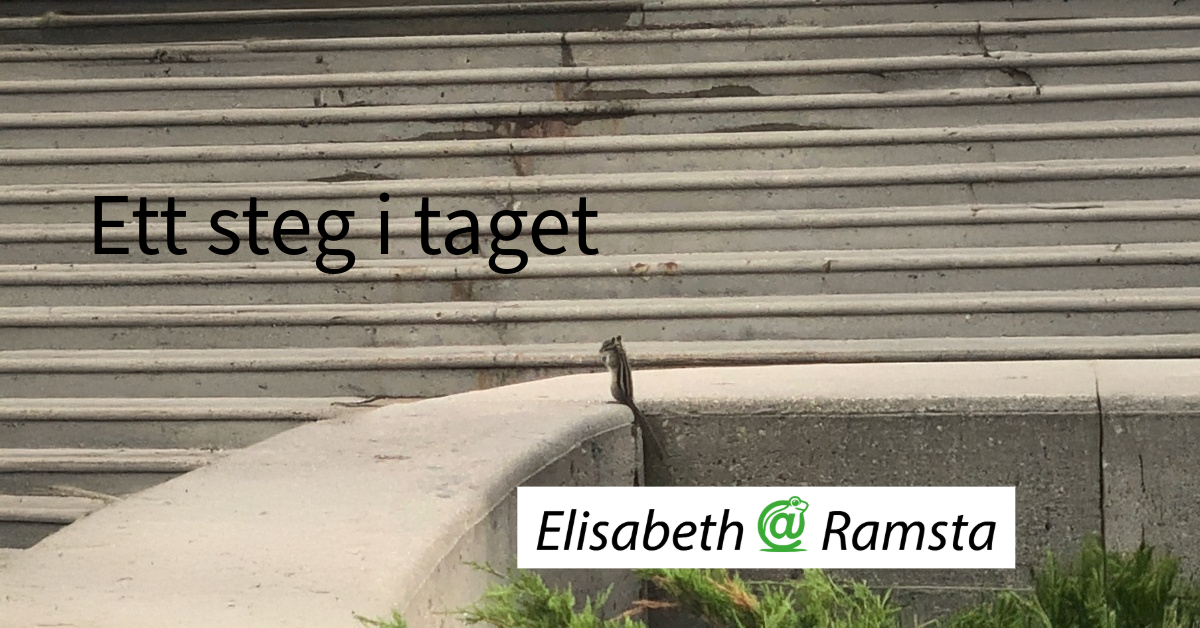 När frågan blir: varför kom du så sent?