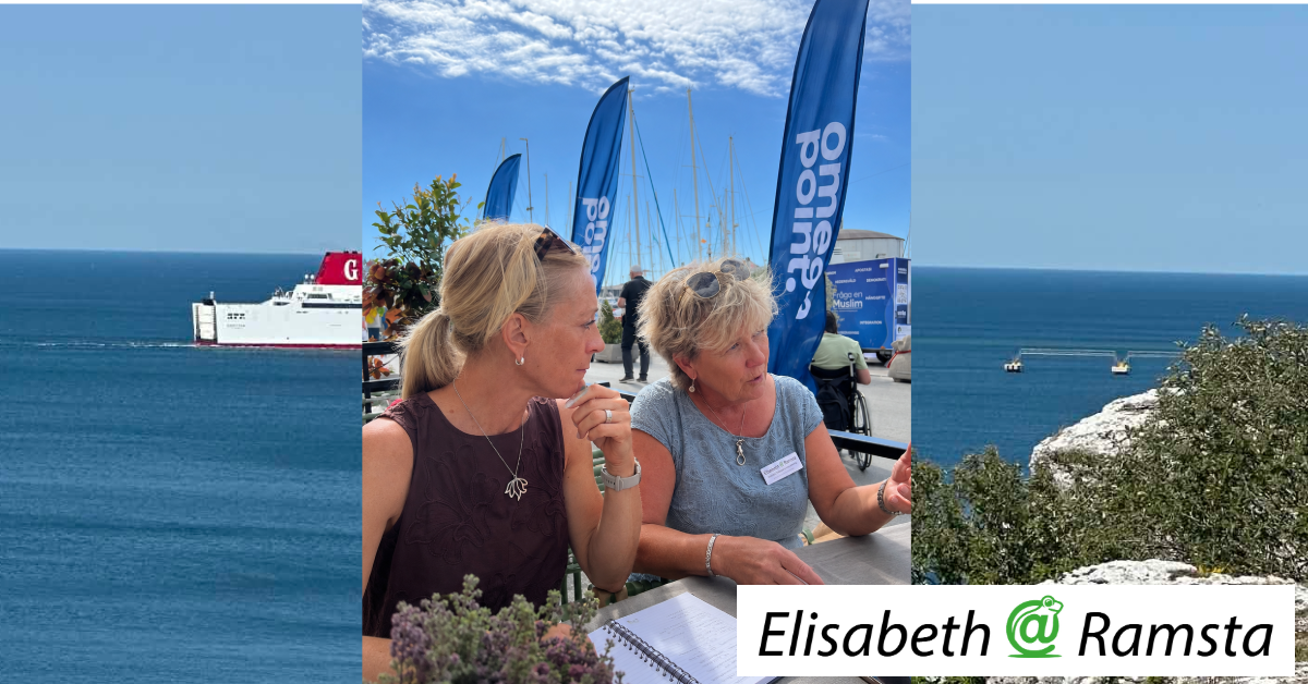 Vad var det egentligen jag hörde i Almedalen?