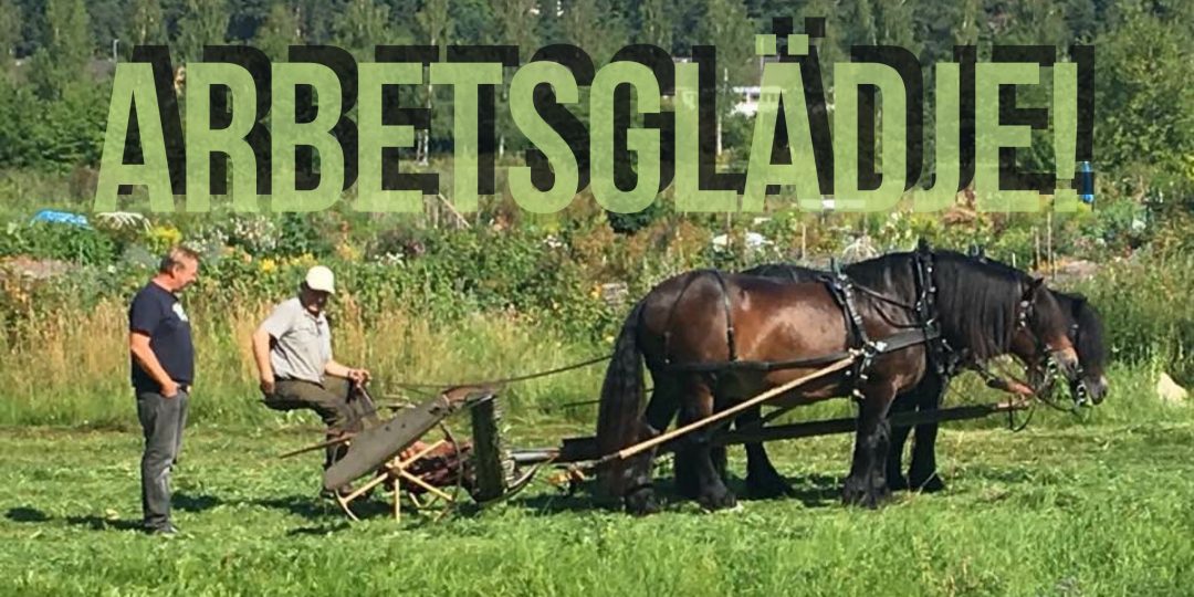 Så skapar jag Arbetsglädje!