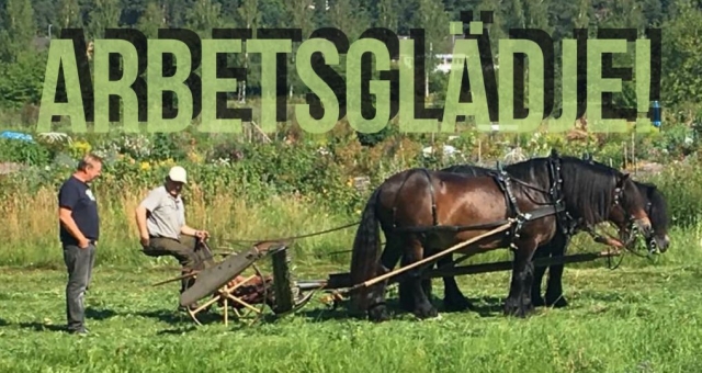 Så skapar jag Arbetsglädje!