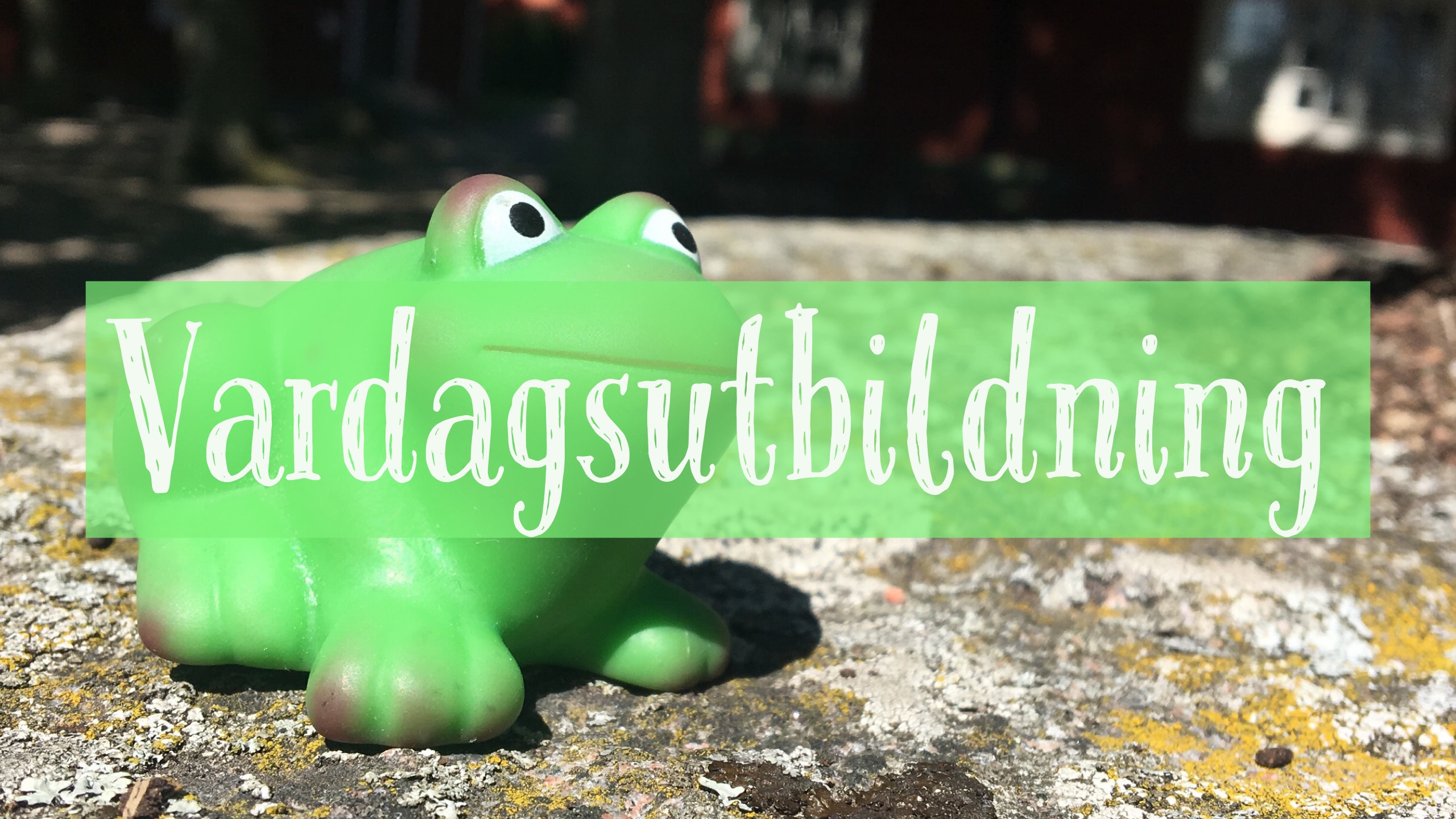 Vardagsutbildning gratis