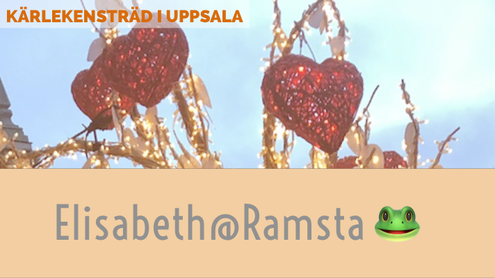 Elisabeth@Ramsta - hur tänkte jag här!