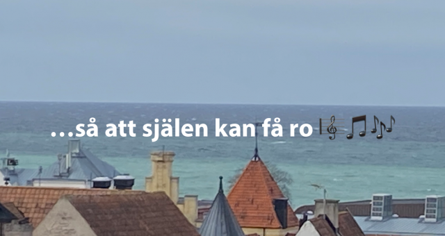Havet - där finner jag min ro