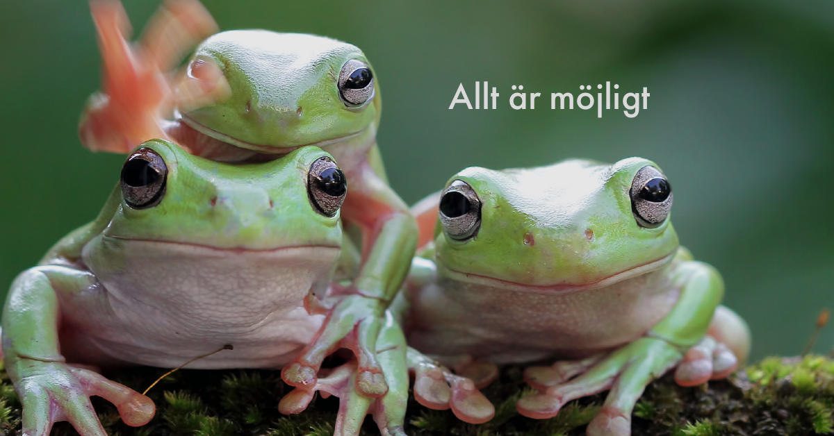 Höj nivån i teamet