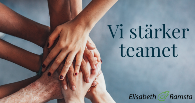 Vi stärker teamet - ett koncept framtaget av branschen