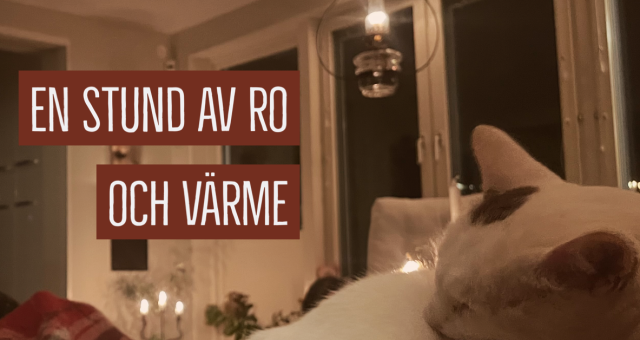  Höstens stillhet och värme